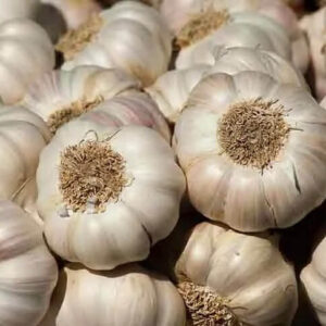 Raw Garlic