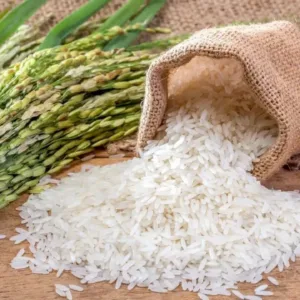 Rice